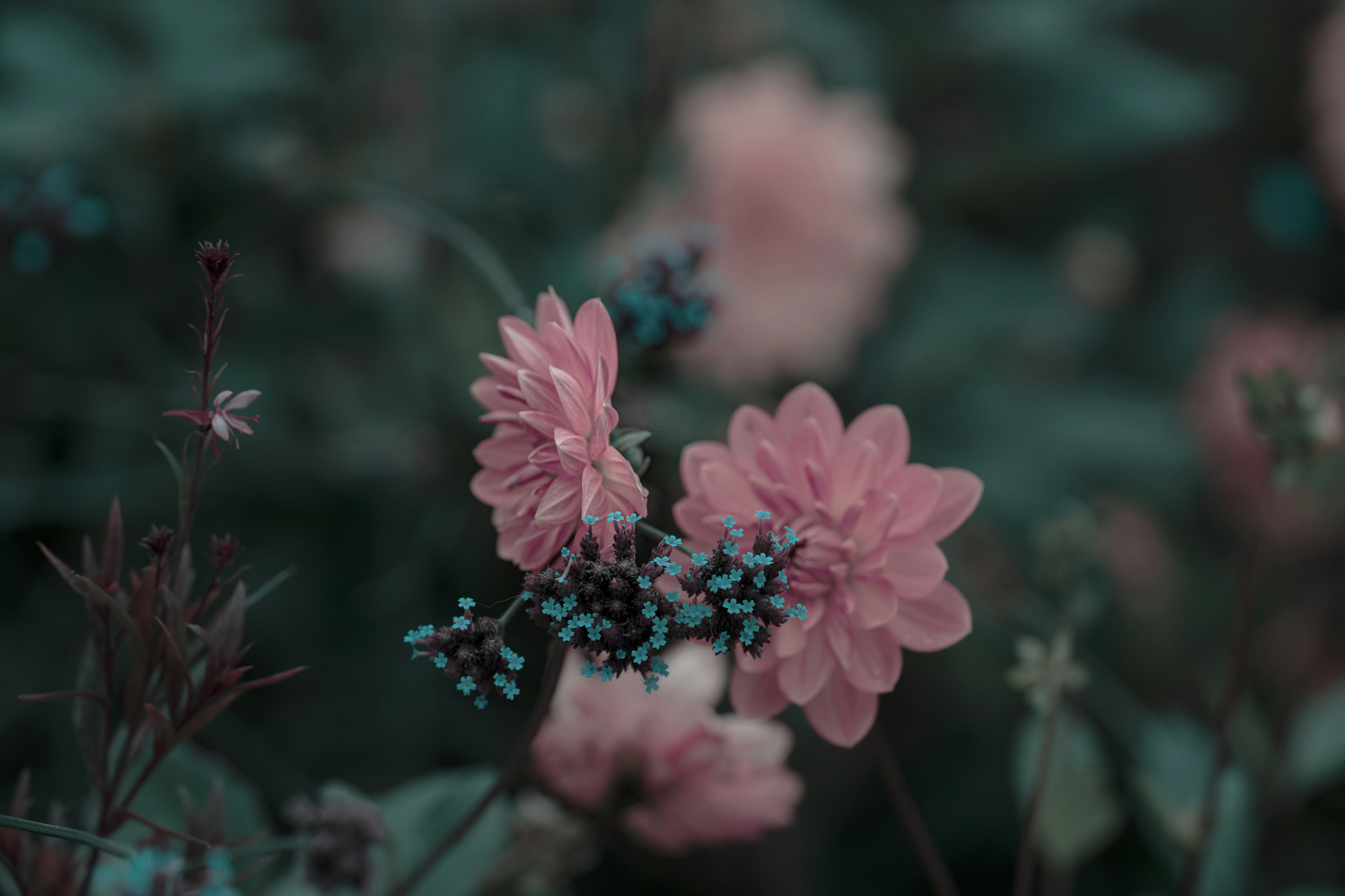 Photo by omarvellous14