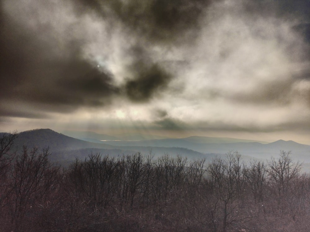 black trees on mountain under cloudy sky during daytime