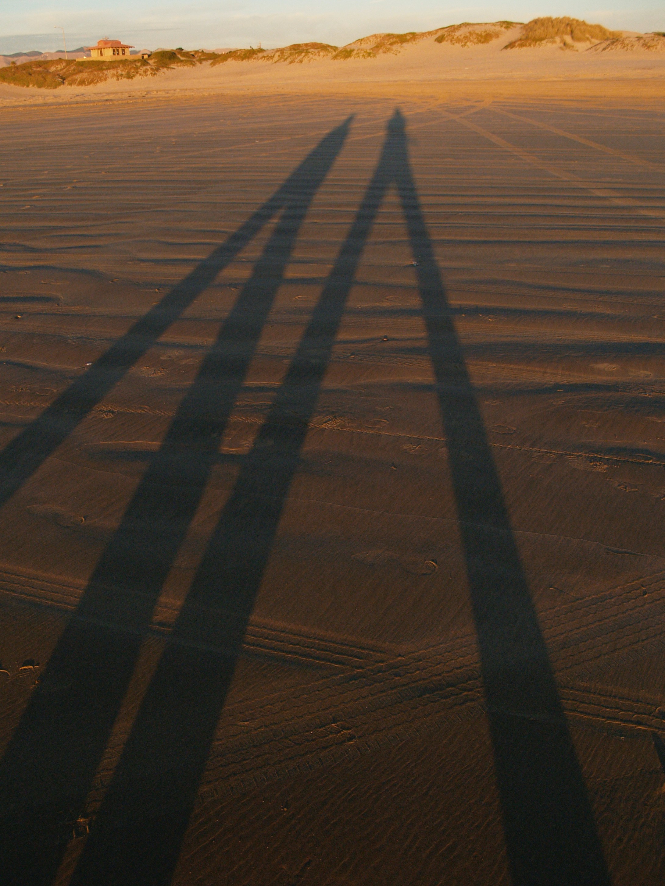 Photo by peterburdon