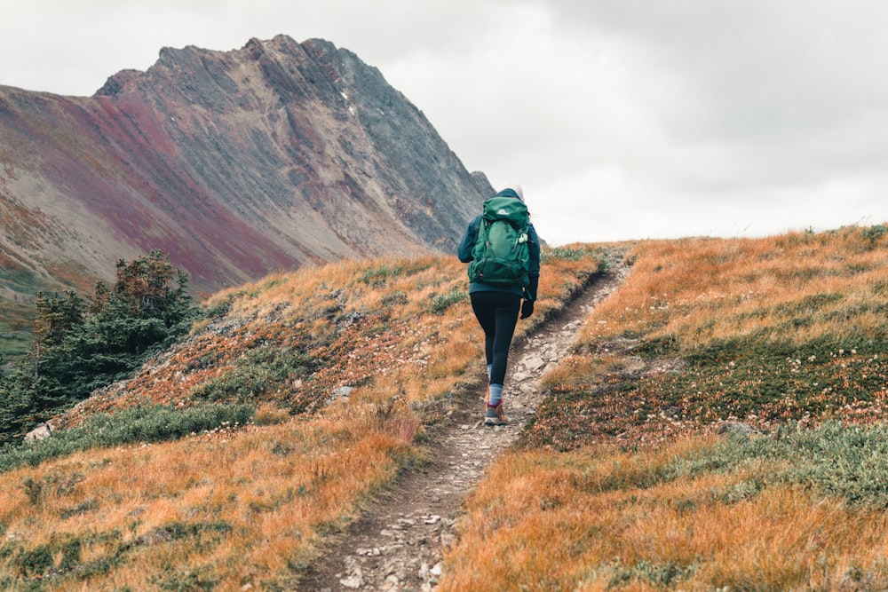 personne en veste verte marchant sur un chemin de terre pendant la journée