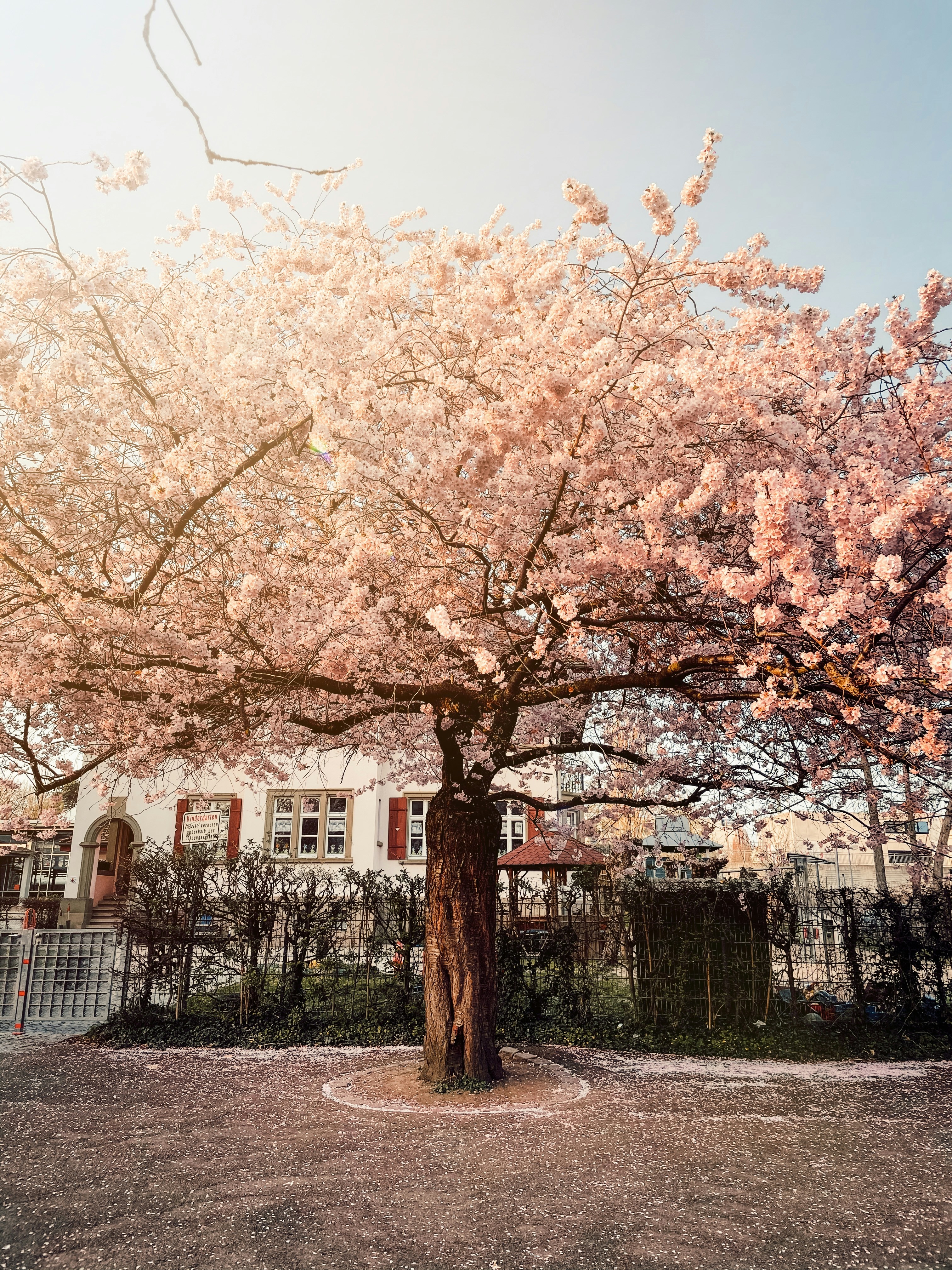 Photo by adrian_sowo