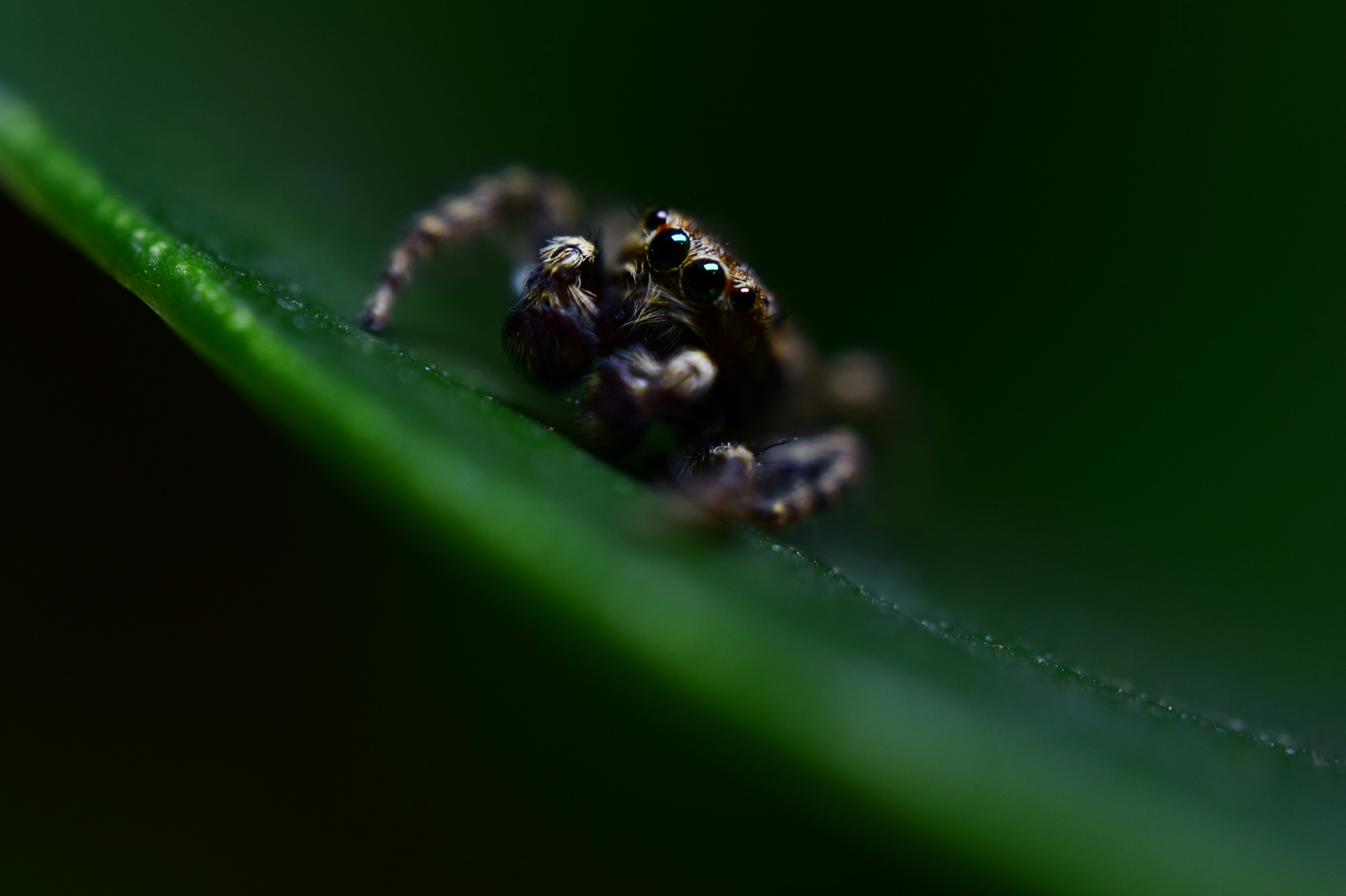 Photo by jackvanbelzen