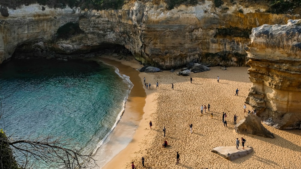 people on beach during daytime