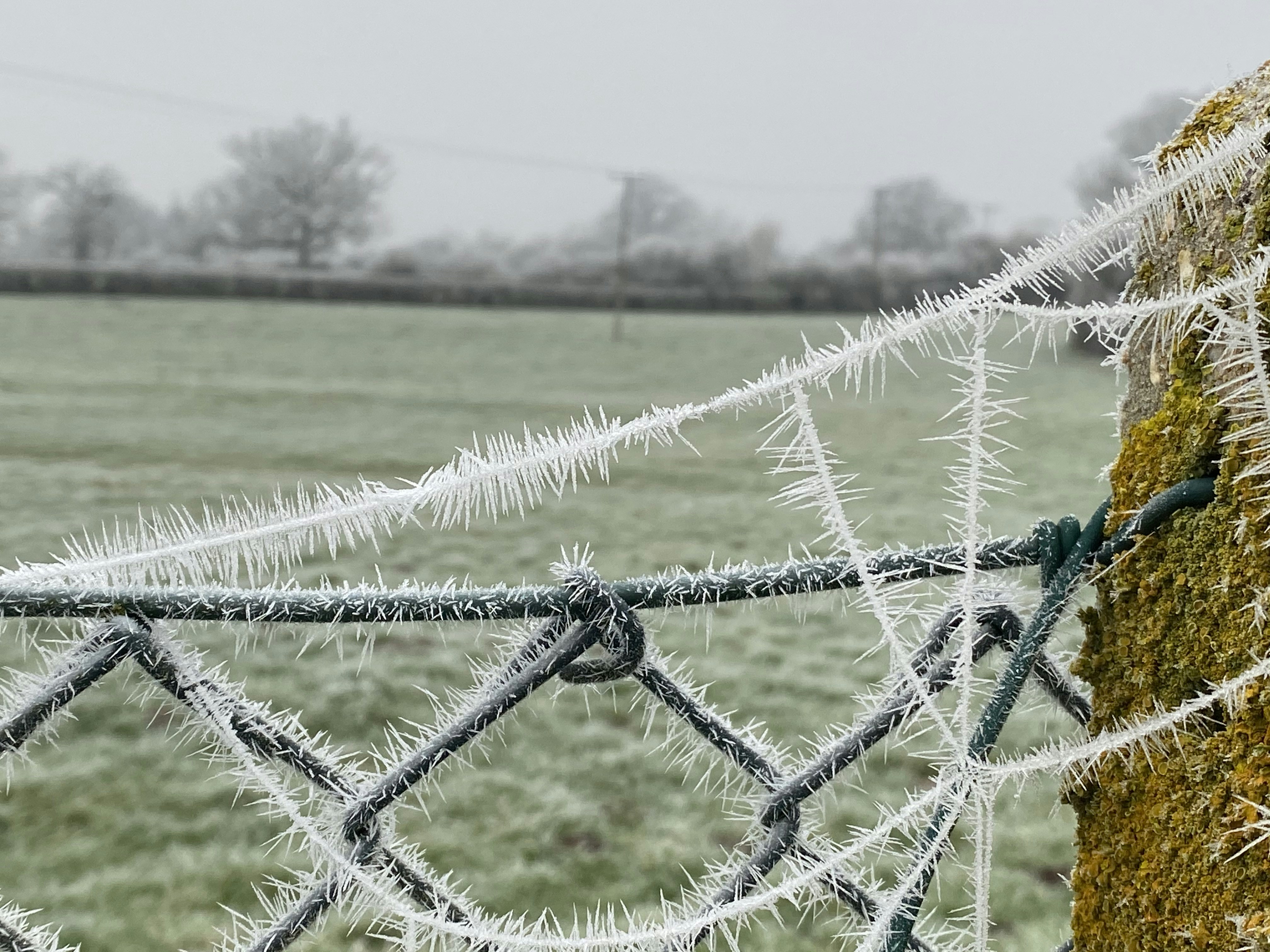 Trivia nights in Salisbury, United Kingdom