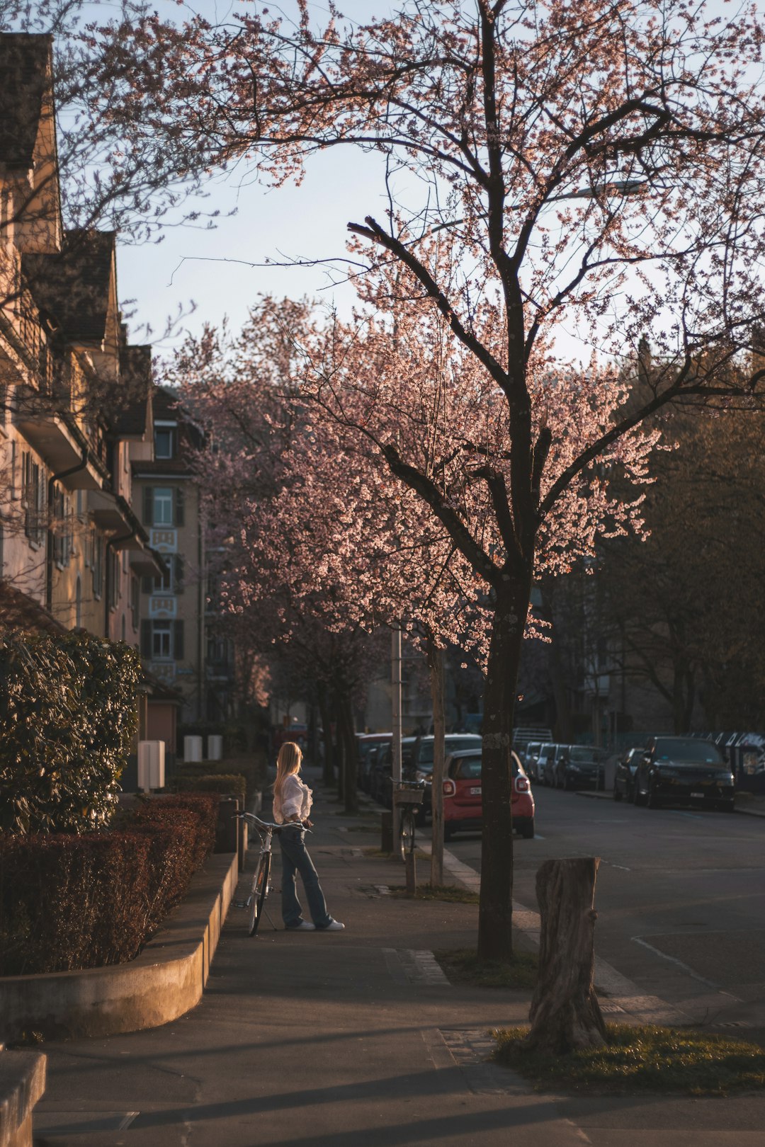 woman in white coat standing on sidewalk near bare trees during daytime