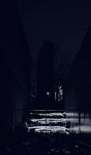 A dark alleyway flanked by tall structures on either side, with steps illuminated by a faint, eerie blue light. The background is dominated by the silhouette of a tall building, and bare branches can be seen emerging from behind.