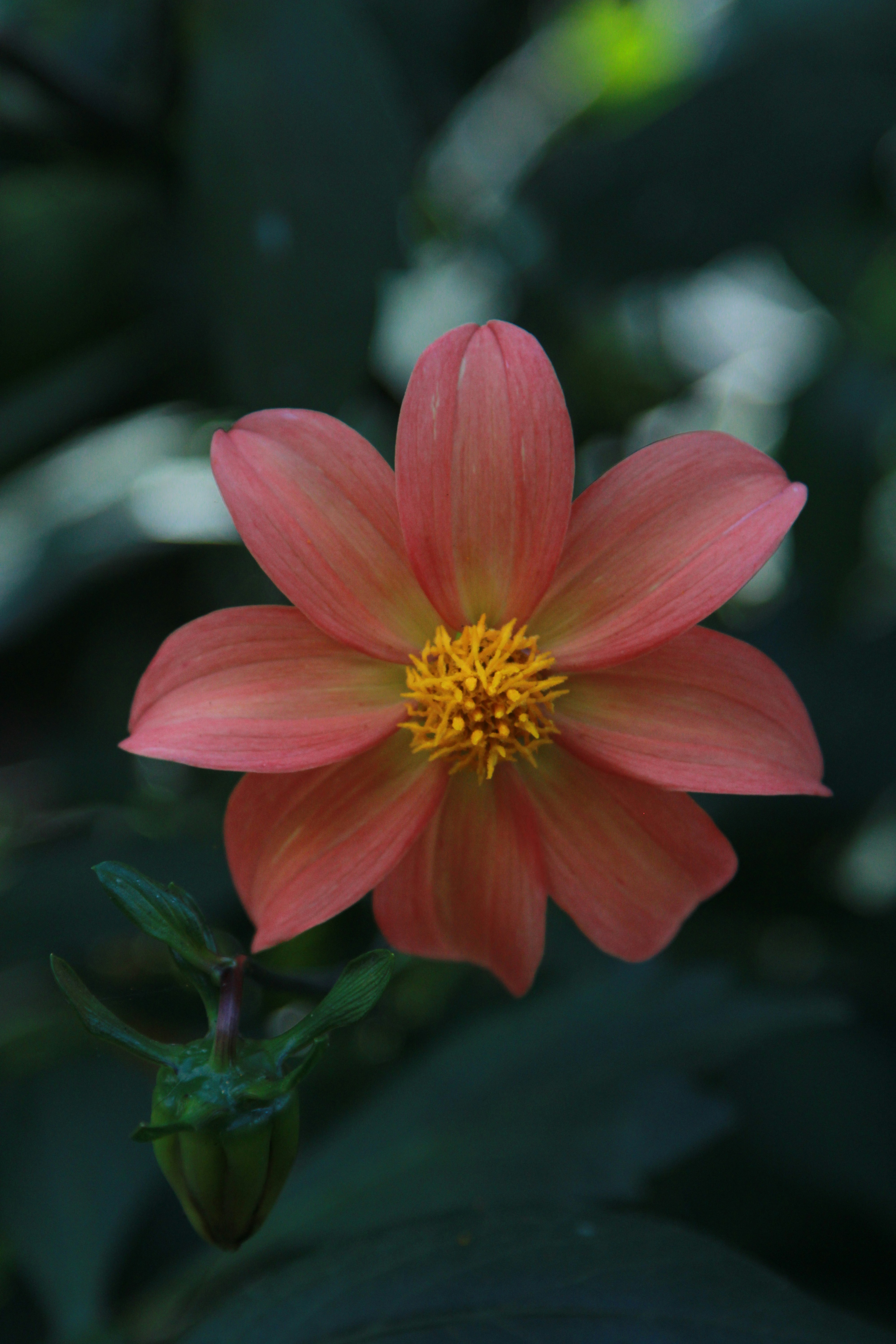 Photo by frontiersman