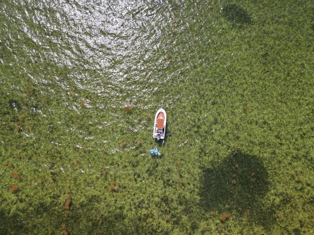 aerial view of white and blue boat on water