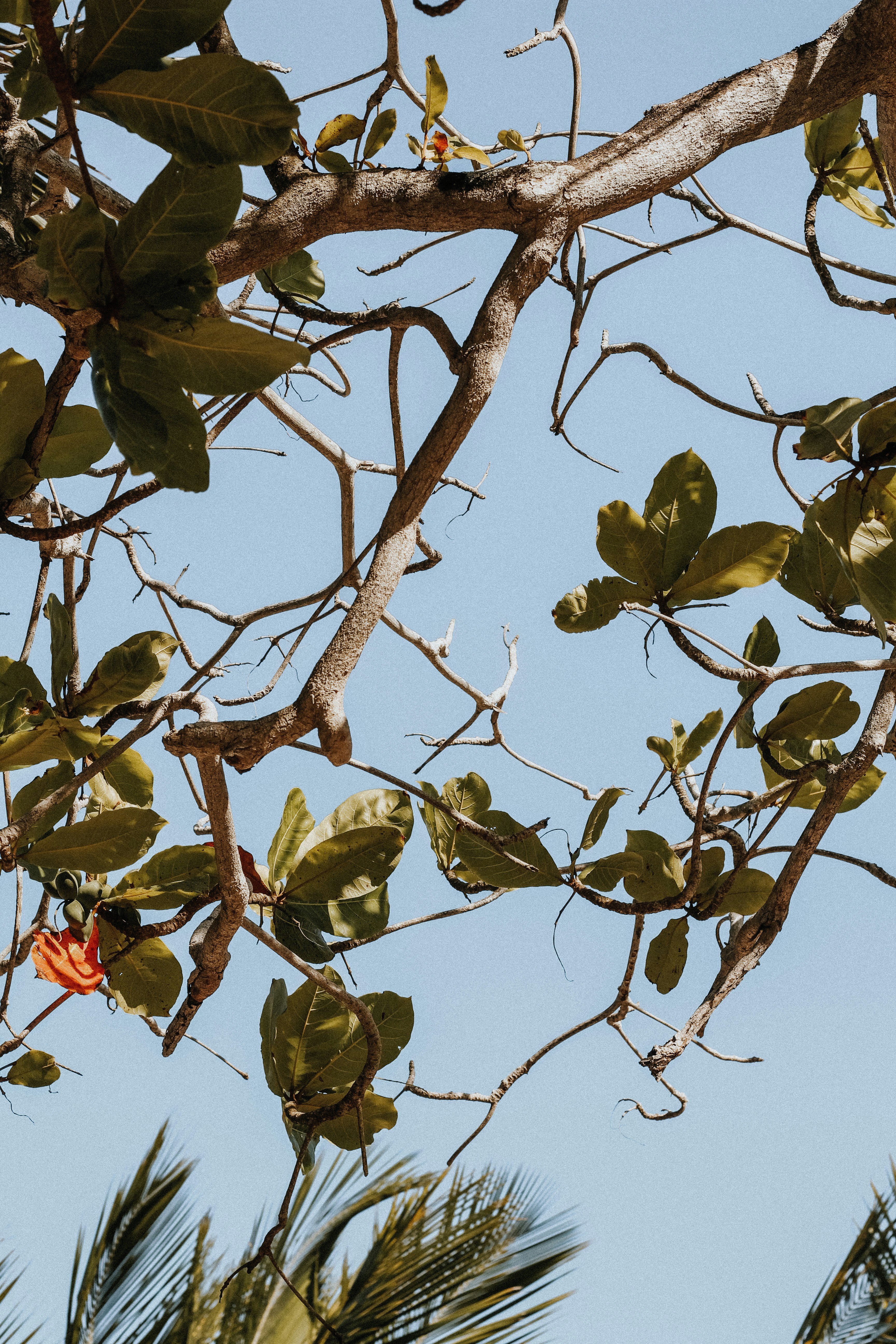 Photo by doriannycastro