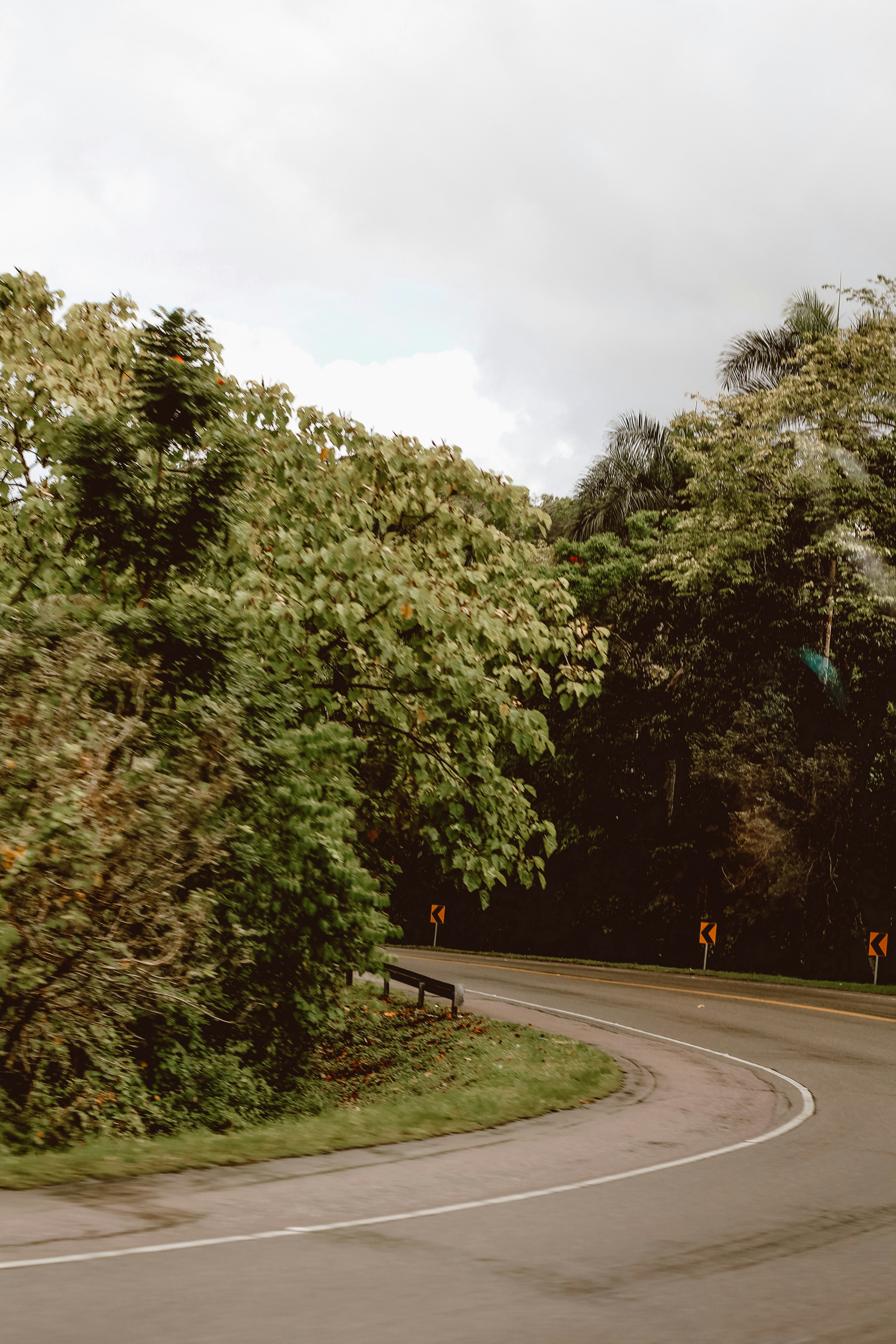 Photo by doriannycastro