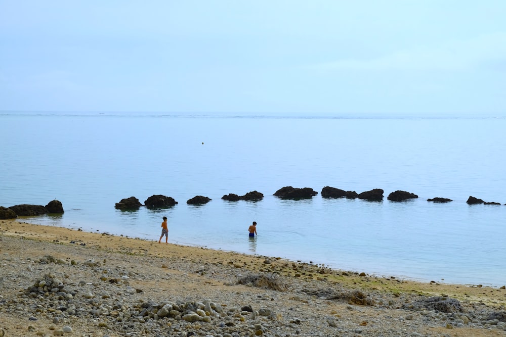 people on beach during daytime