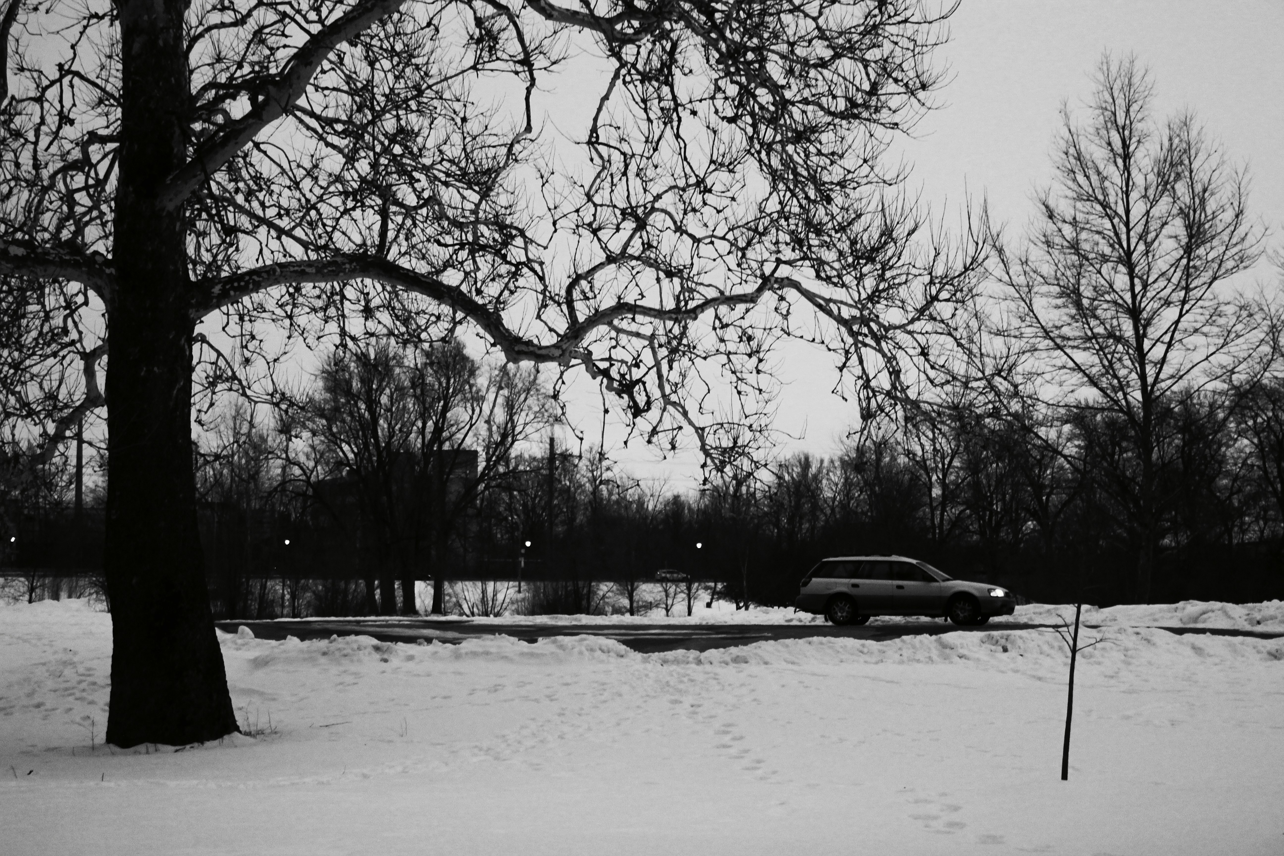 Photo by mrgreatheart