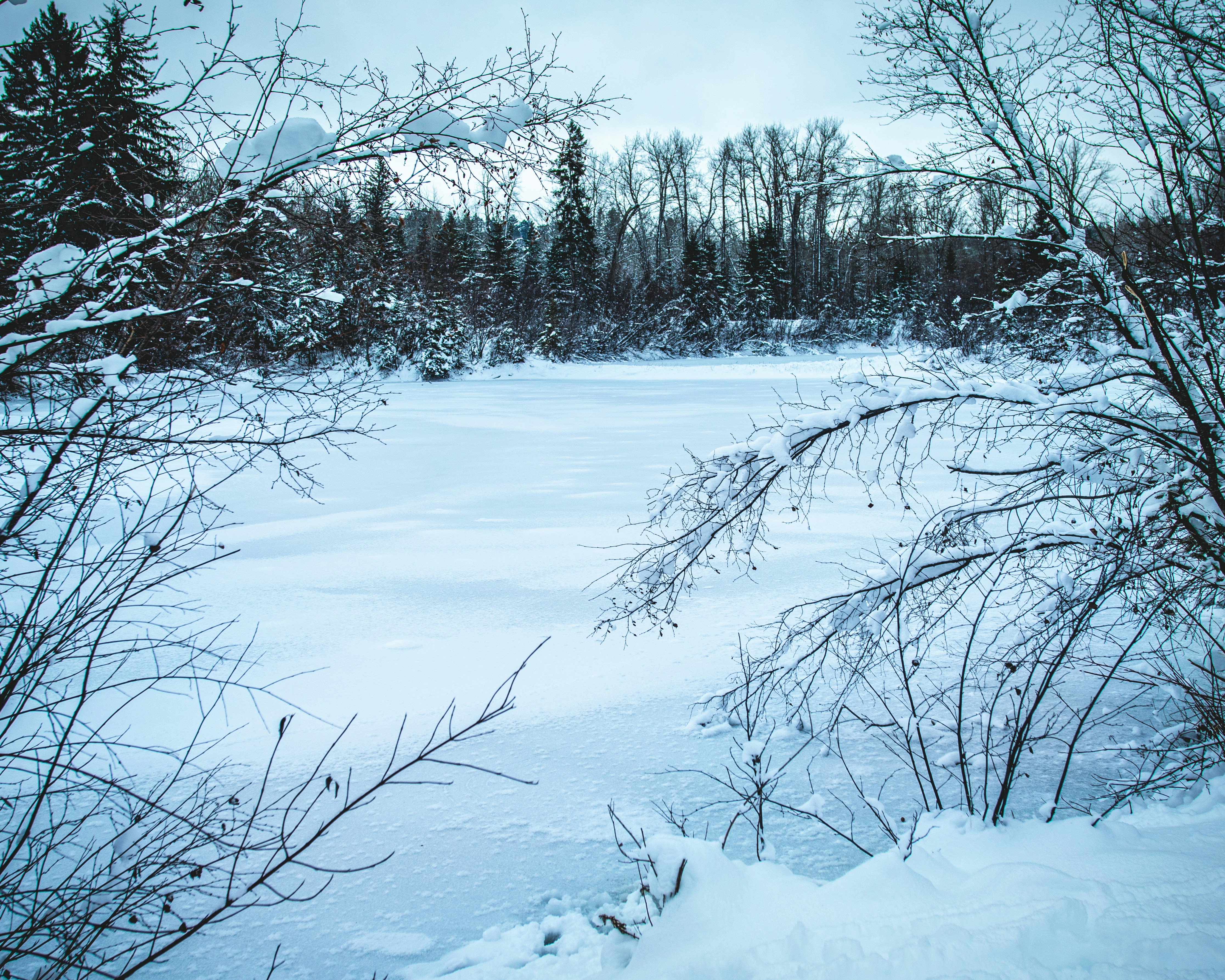 Photo by gingersnapsyvr