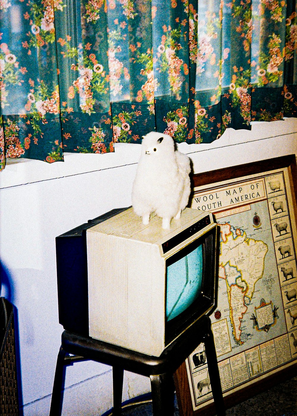 CRT TV 위에 흰 올빼미