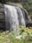 A stunning view of a cascading waterfall surrounded by vibrant green foliage.