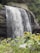 A stunning view of a cascading waterfall surrounded by vibrant green foliage.