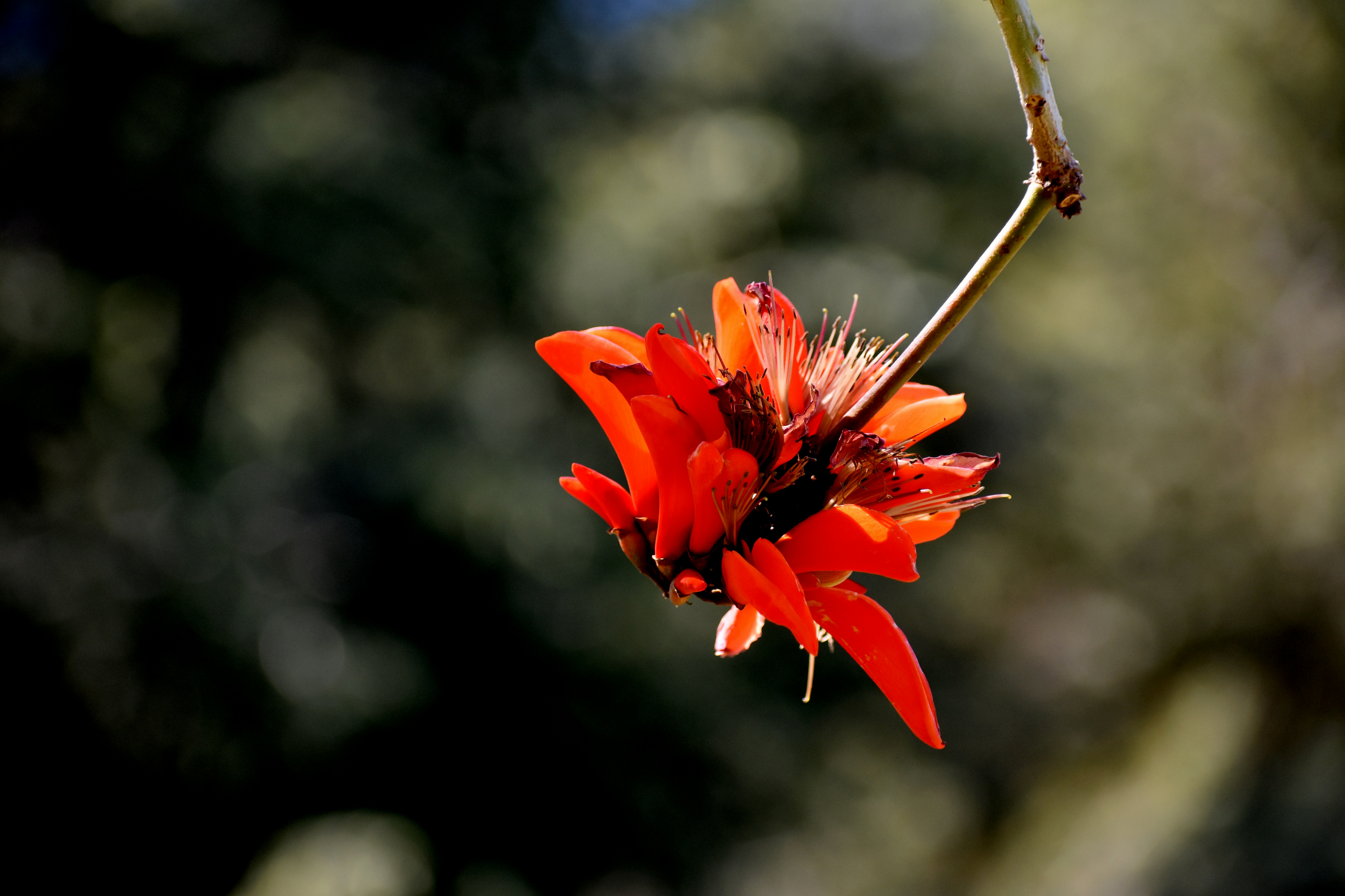 Photo by janinekrobinson