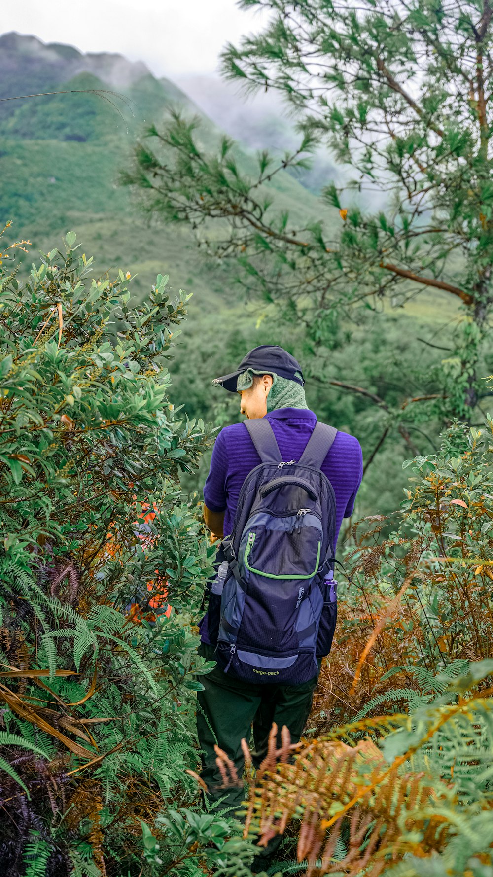 man in purple shirt and black backpack standing on green grass field during daytime