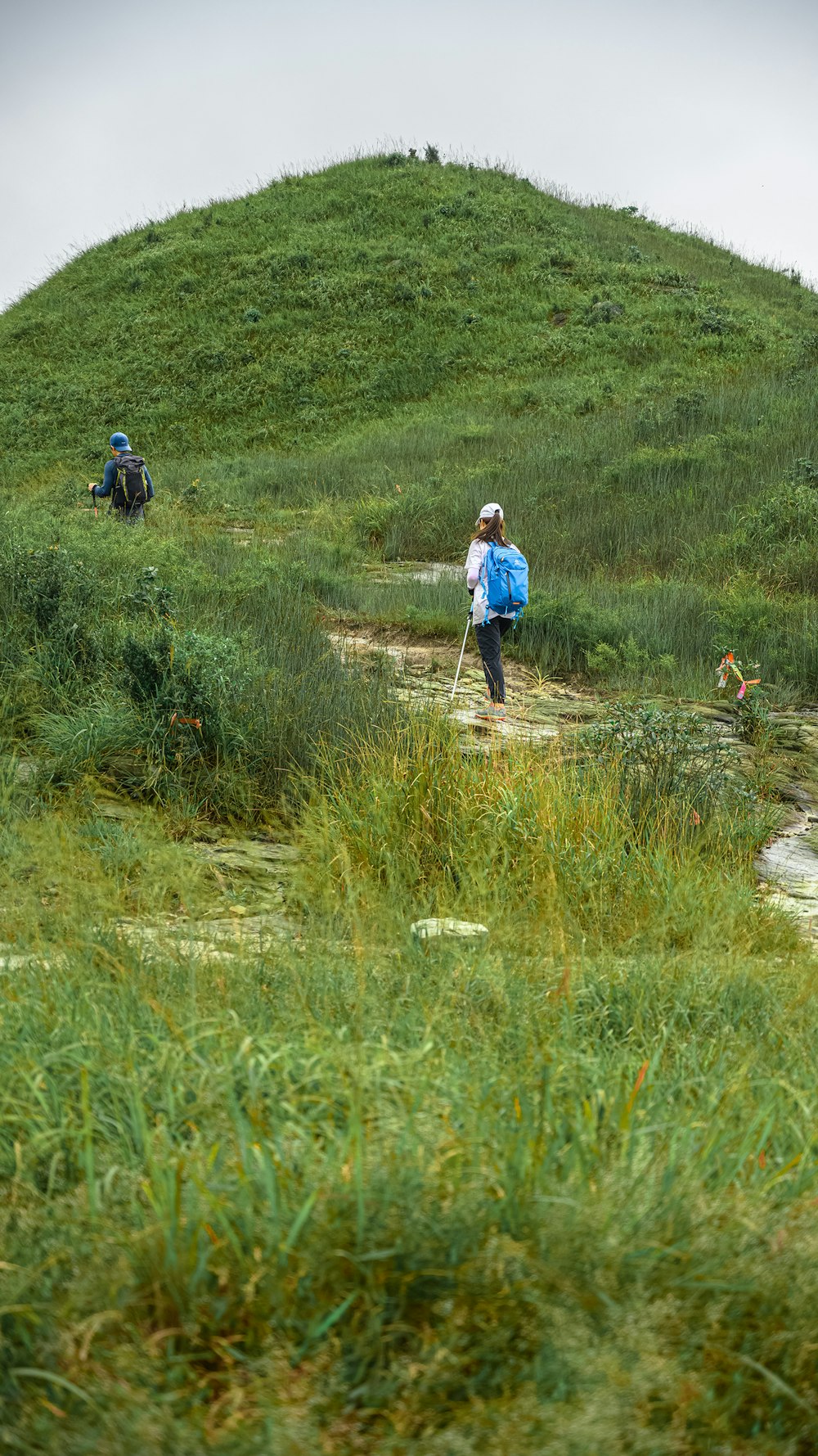 woman in blue jacket walking on green grass field during daytime