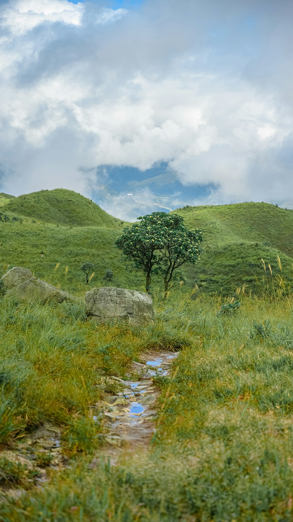 green grass field and green mountain under white clouds and blue sky during daytime