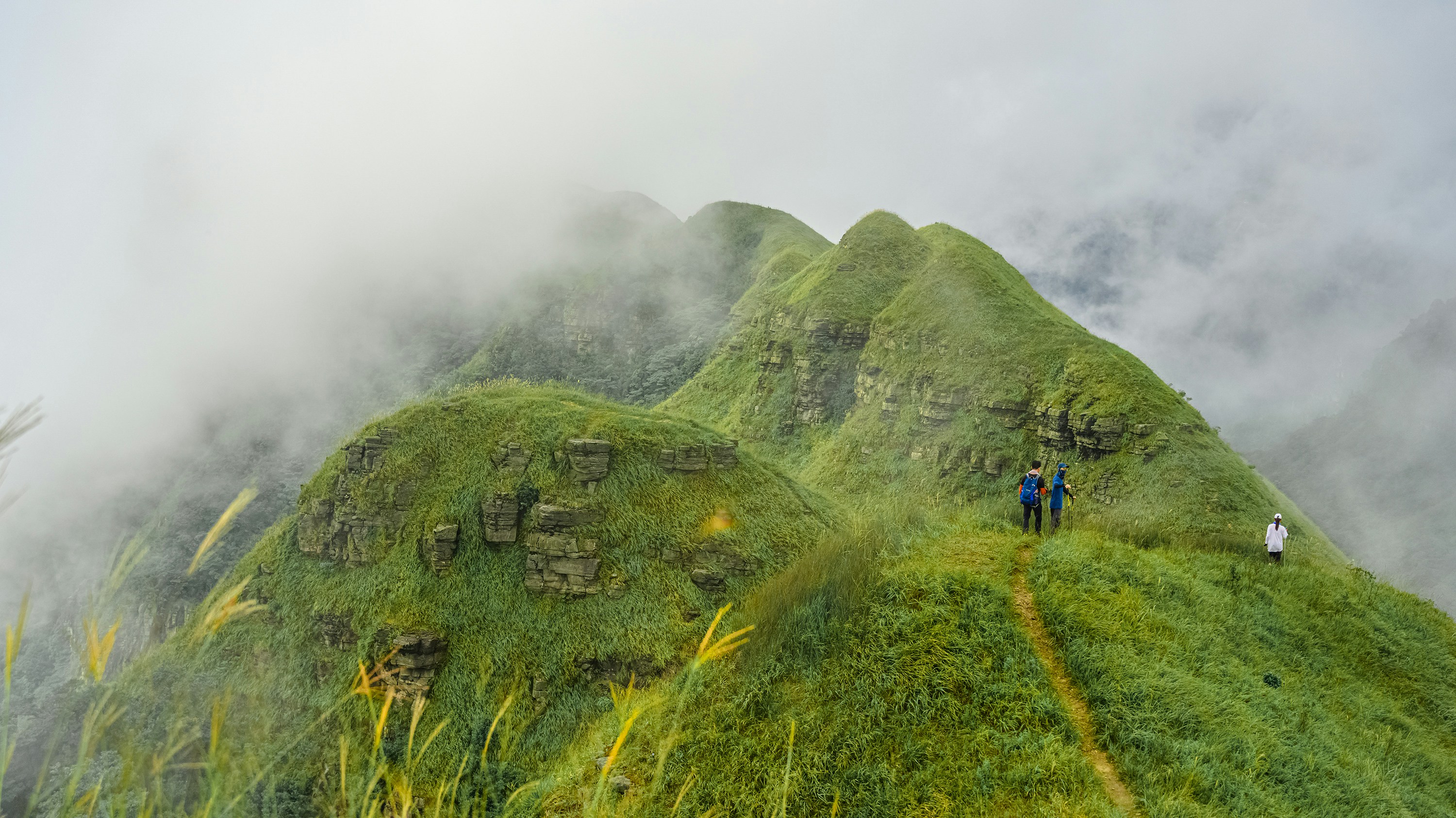 people walking on green grass field during daytime