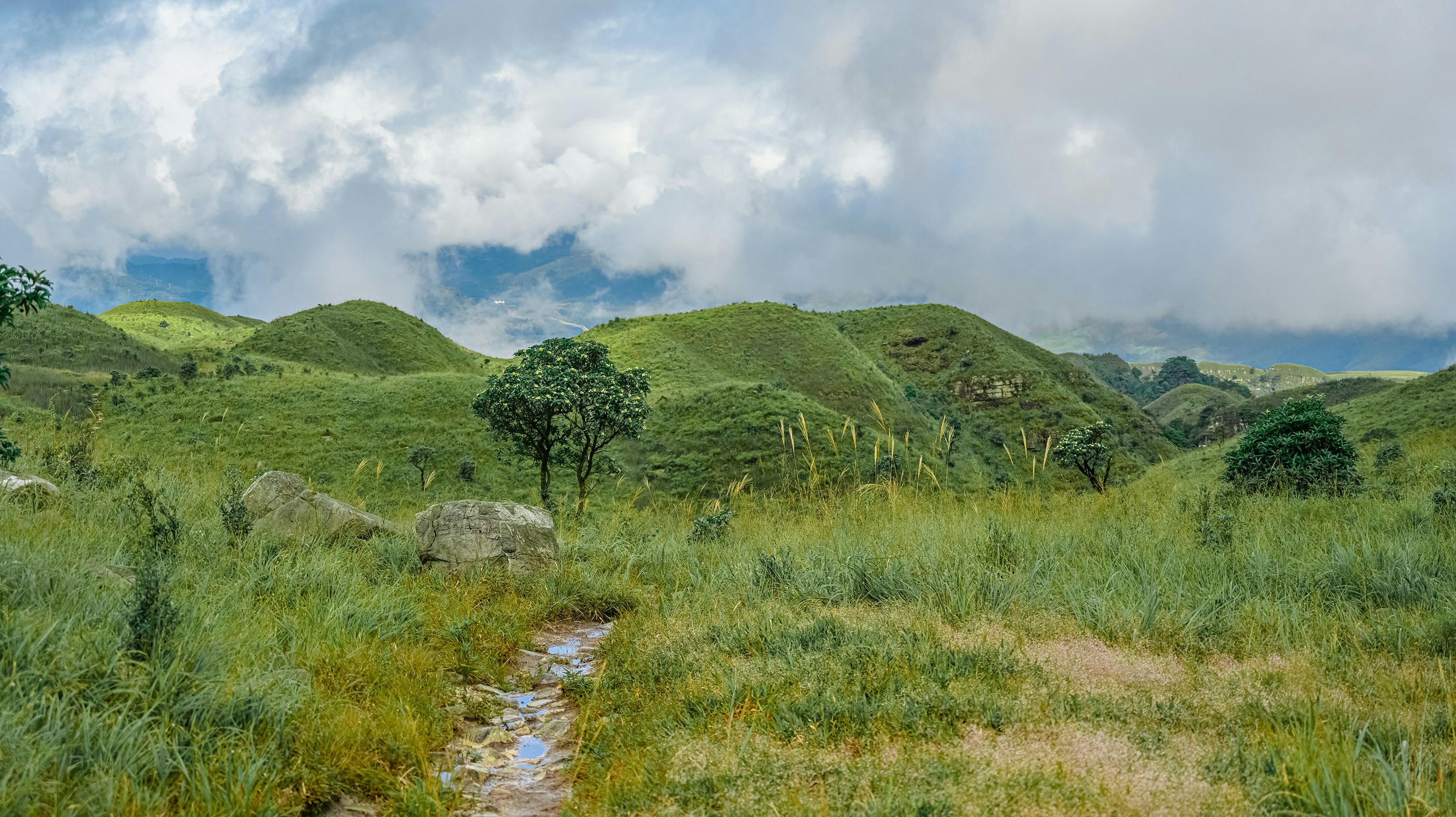 green grass field and mountain under white clouds during daytime