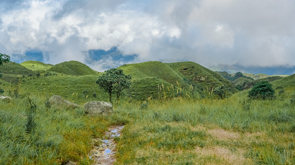 green grass field and mountain under white clouds during daytime