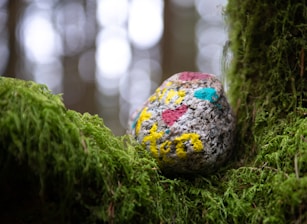 A rock with painted messages and symbols, including a red heart and yellow letters, placed on lush green moss in a forest setting. The background consists of blurred trees with bokeh effects, giving a dreamy, serene appearance.