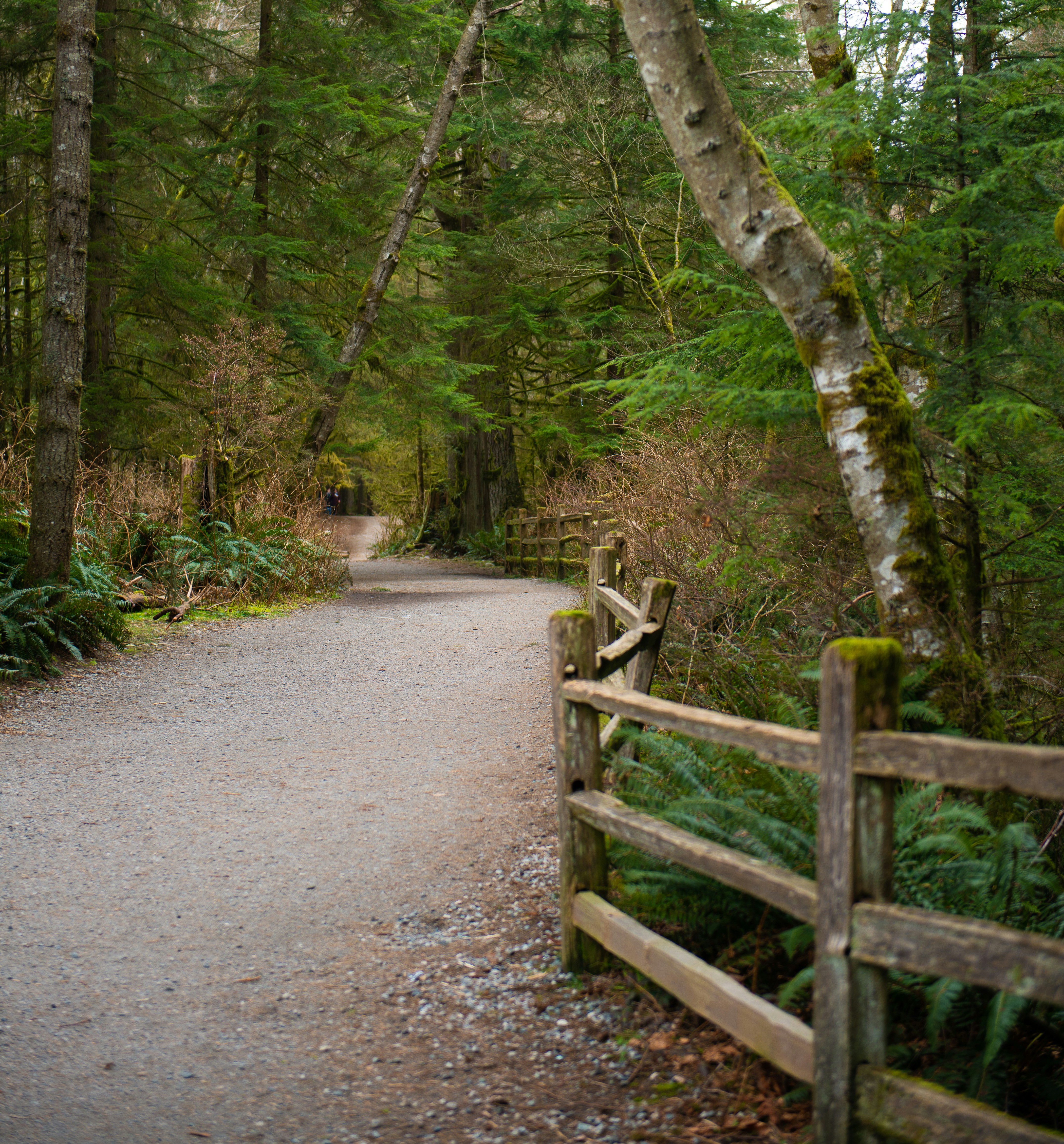 Photo by dreamcapturephotography