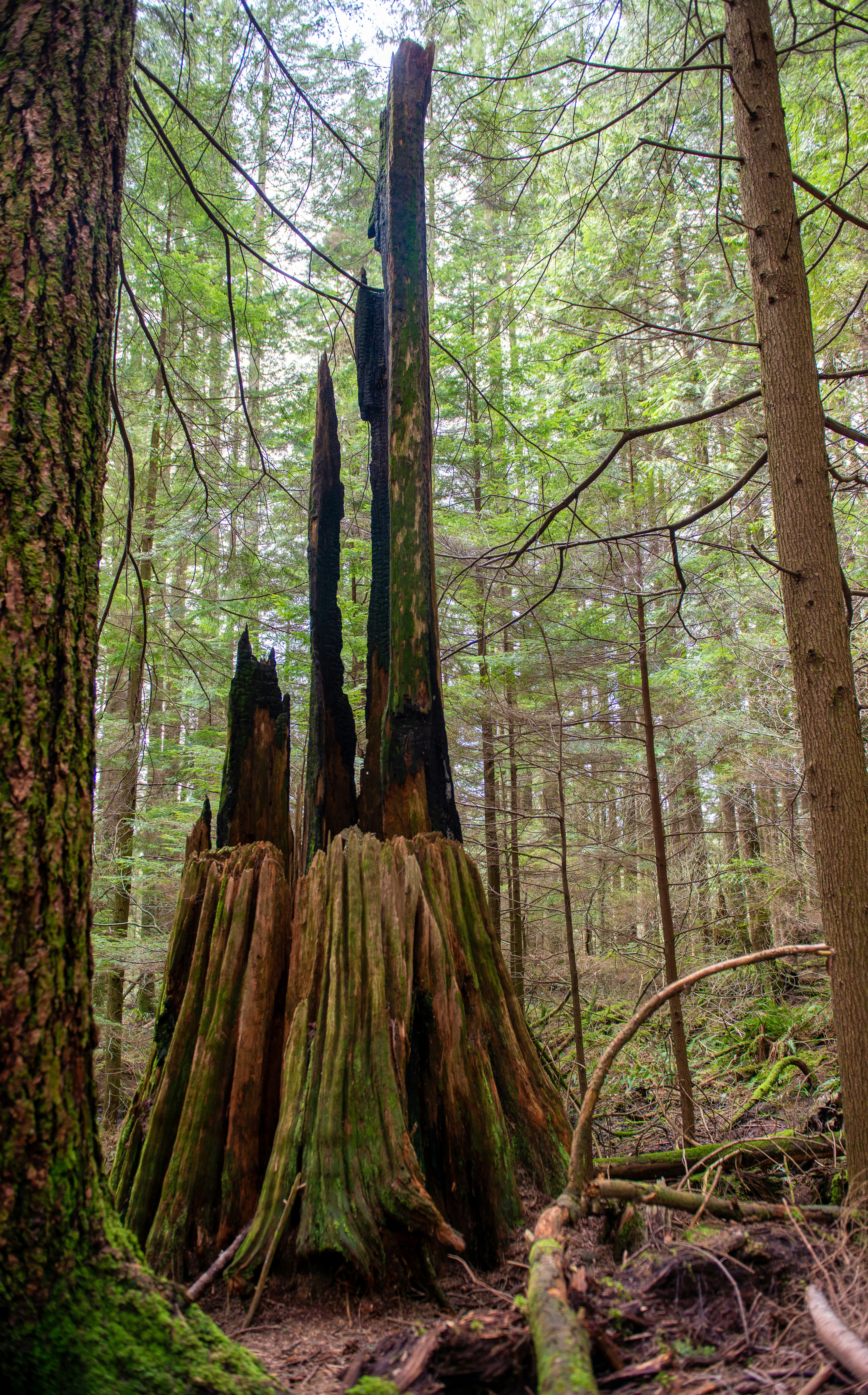 Photo by dreamcapturephotography