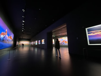 A dimly lit gallery features a series of large, vibrant landscape paintings on its walls. A person is walking through the space, examining the artwork, with more visitors visible further down the hallway. The gallery has a modern design with dark walls and a polished floor, enhanced by spotlighting focusing on the artworks.