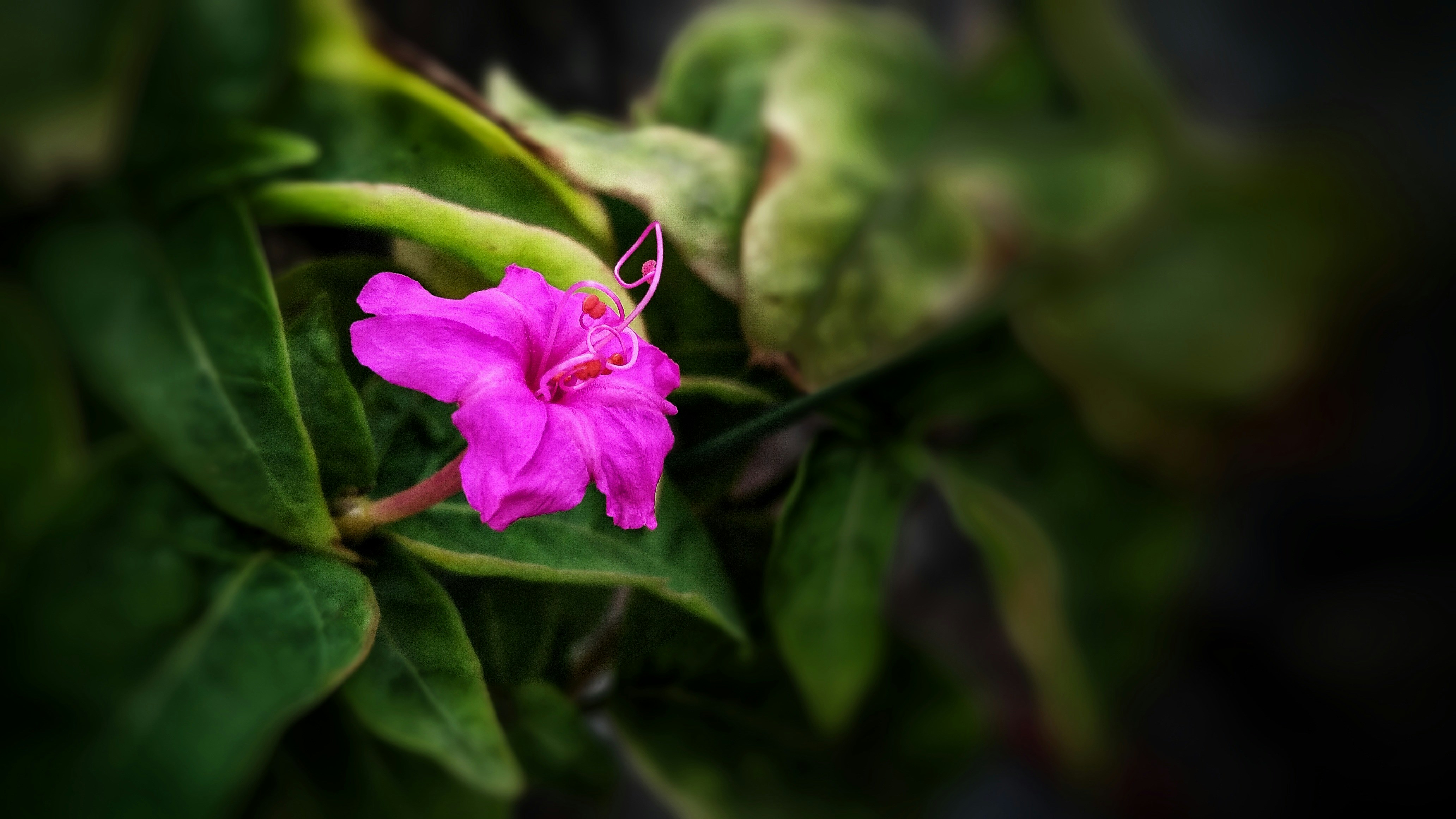 Photo by nisoojadhav