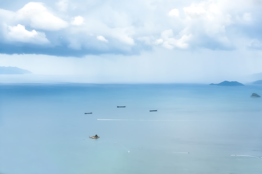 birds flying over the sea during daytime