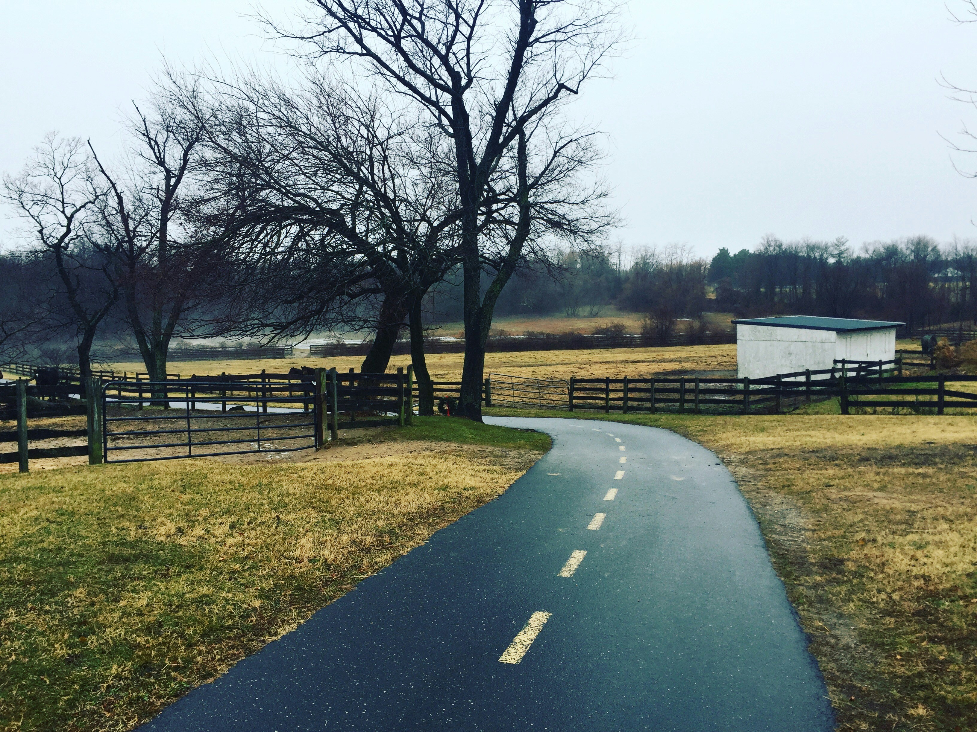brown wooden fence on green grass field near road during daytime