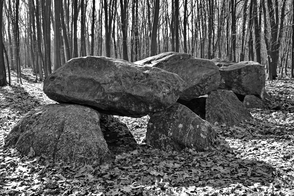 grayscale photo of rocks in forest