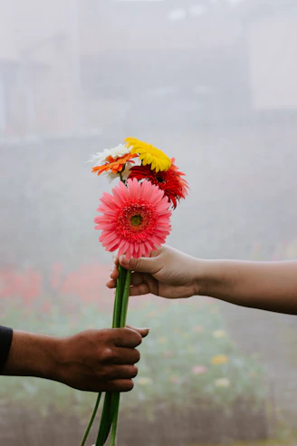person holding yellow and red flower