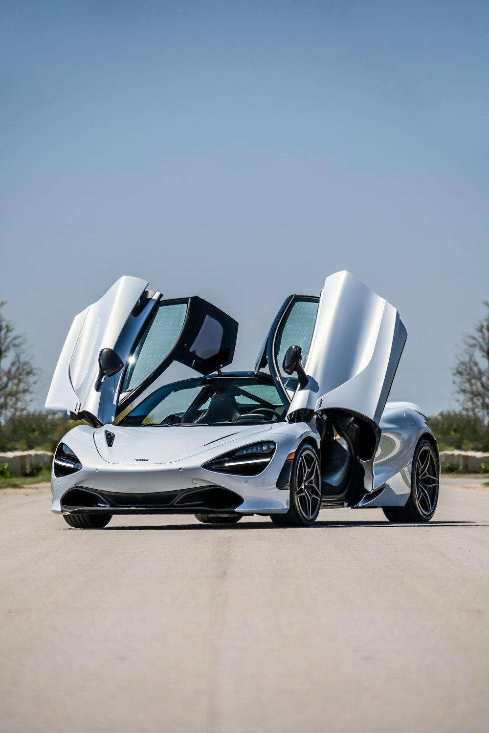 white and black sports car