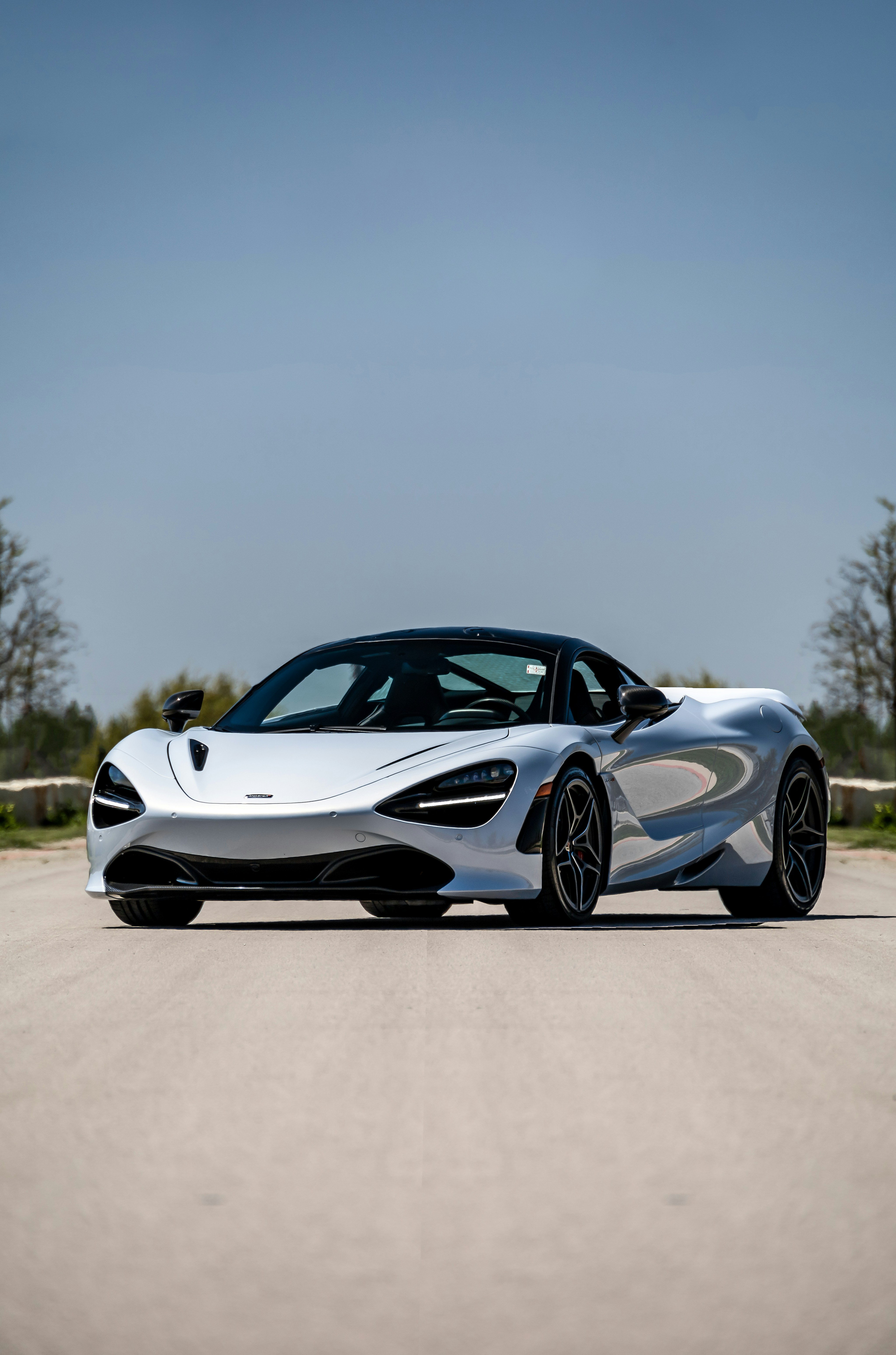 Photo by lonestarexotic