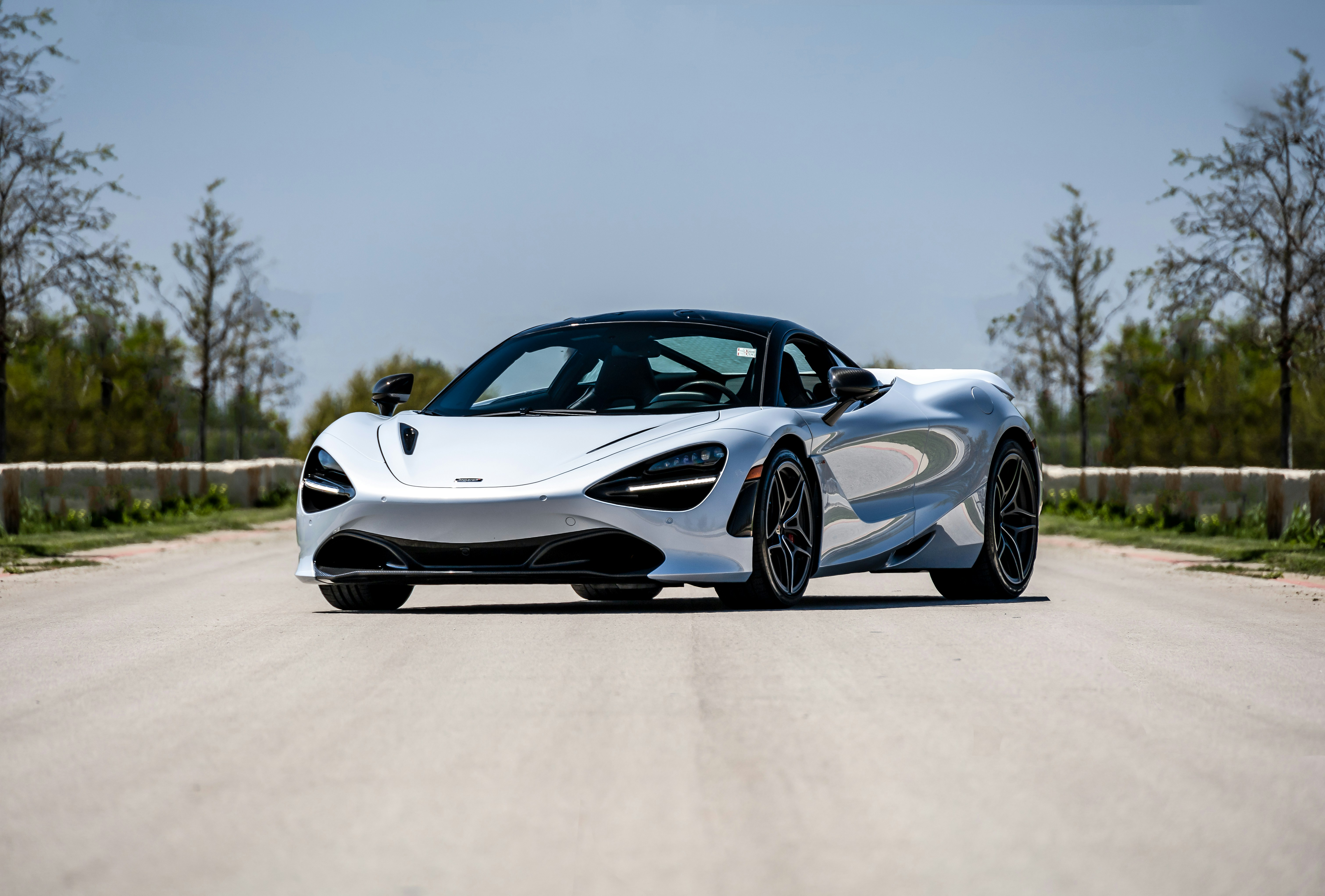 Photo by lonestarexotic