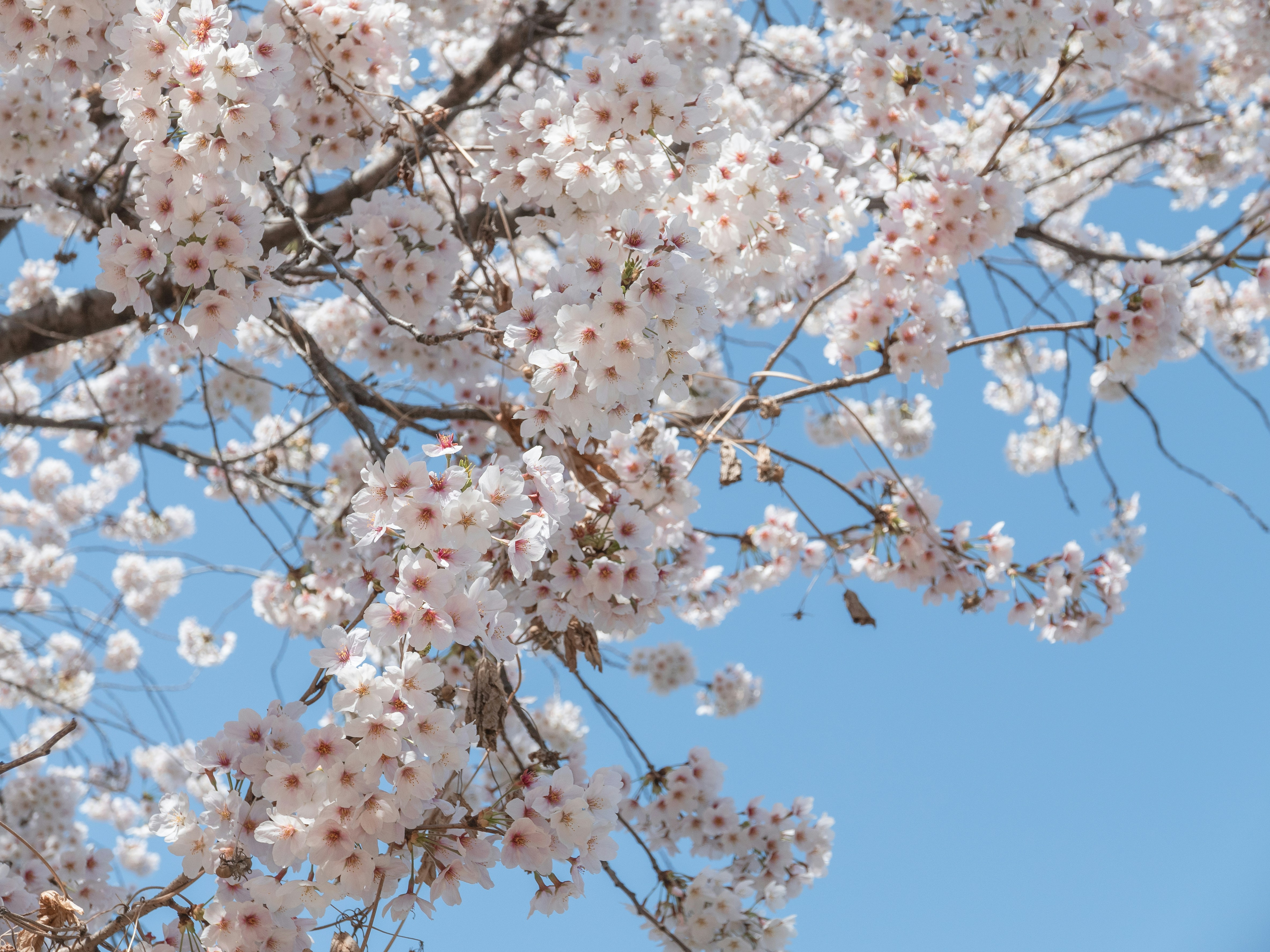 Photo by beyond_the_dream