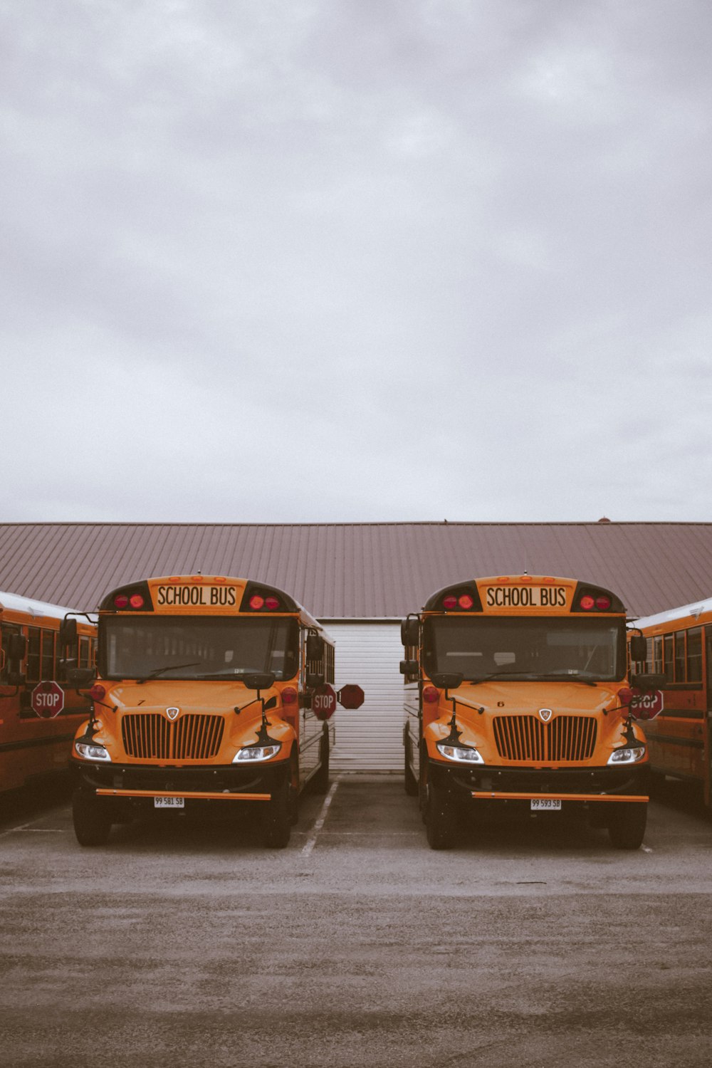 yellow school bus on gray asphalt road during daytime