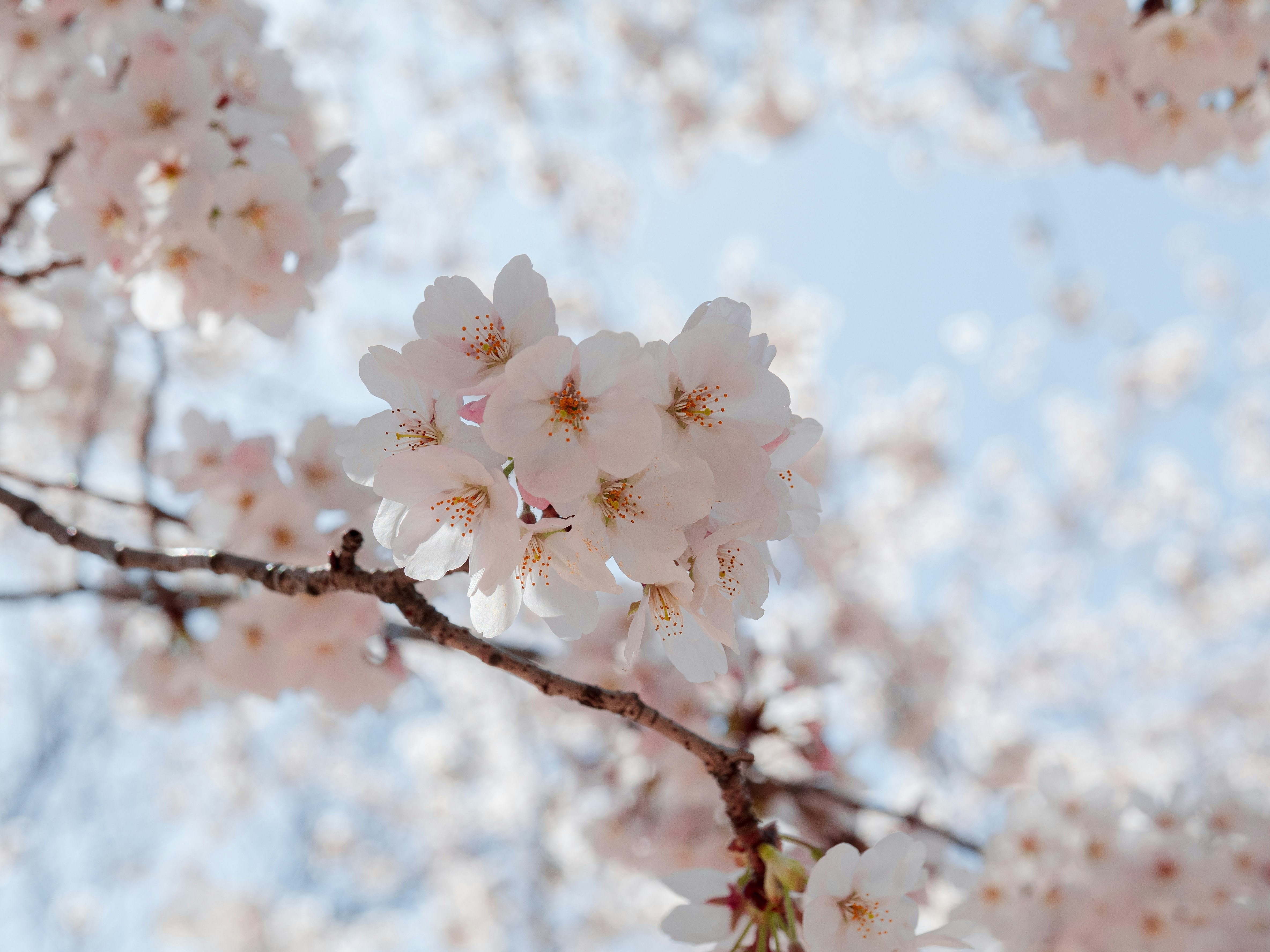 Photo by beyond_the_dream