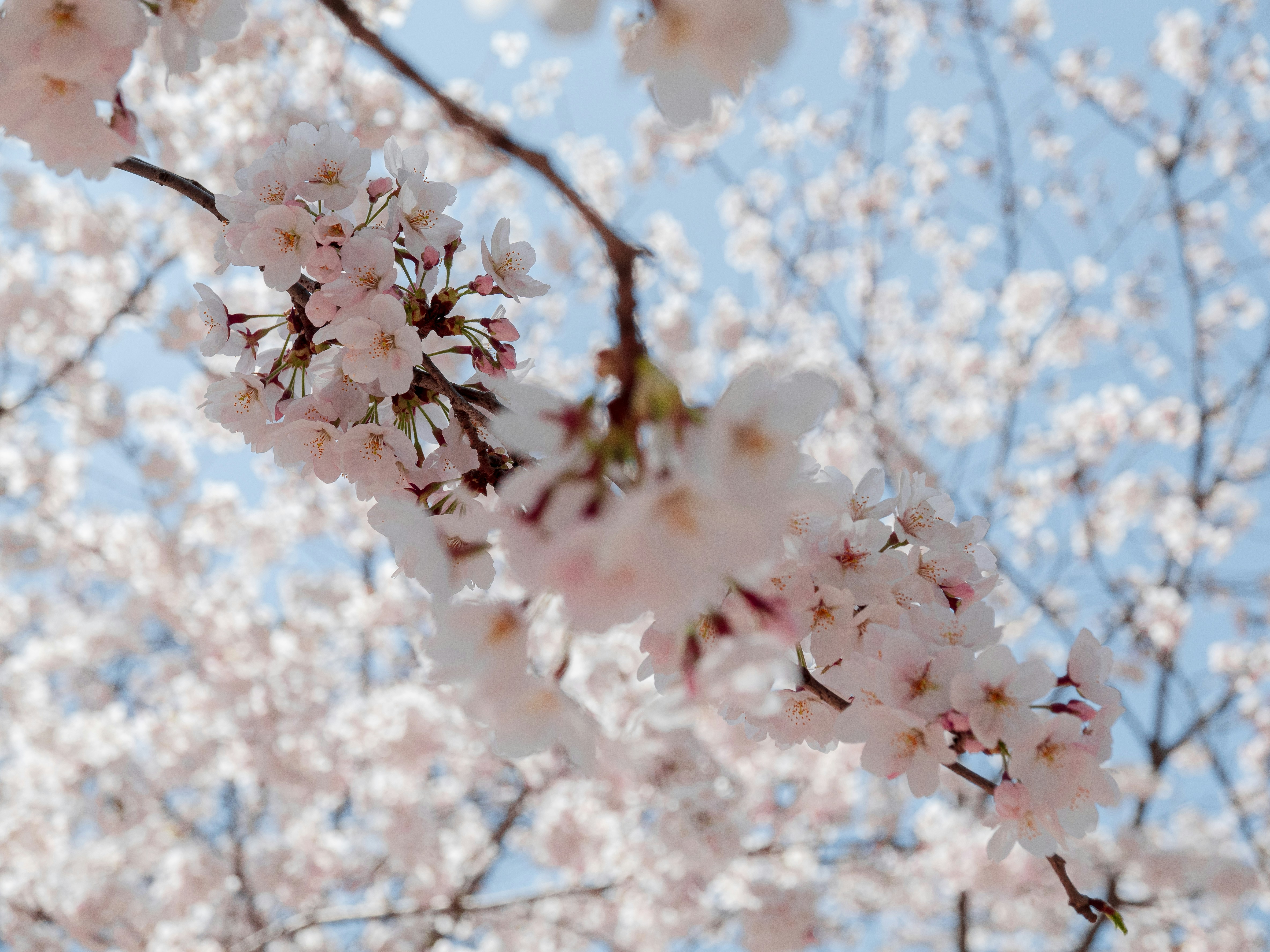 Photo by beyond_the_dream