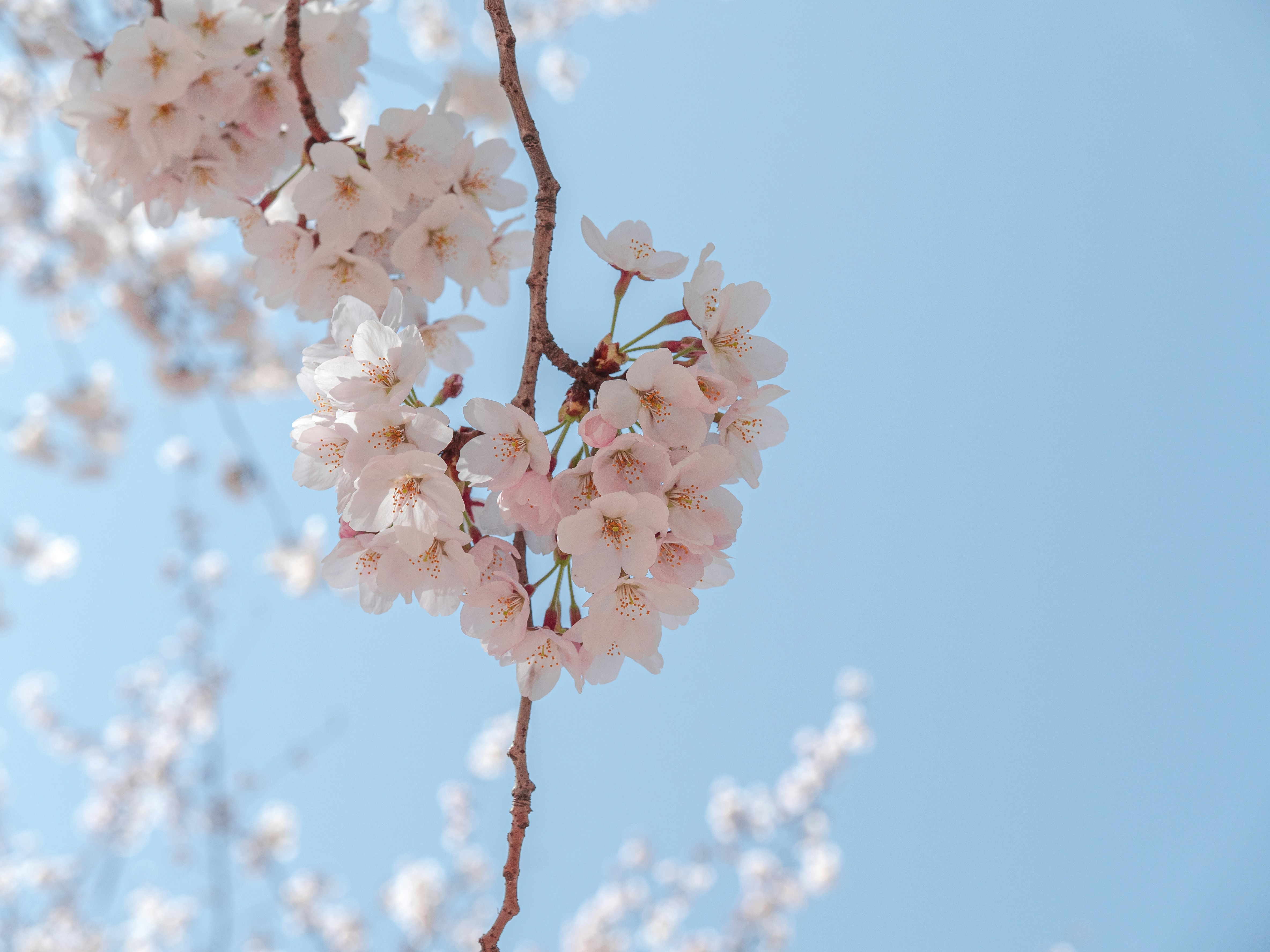 Photo by beyond_the_dream