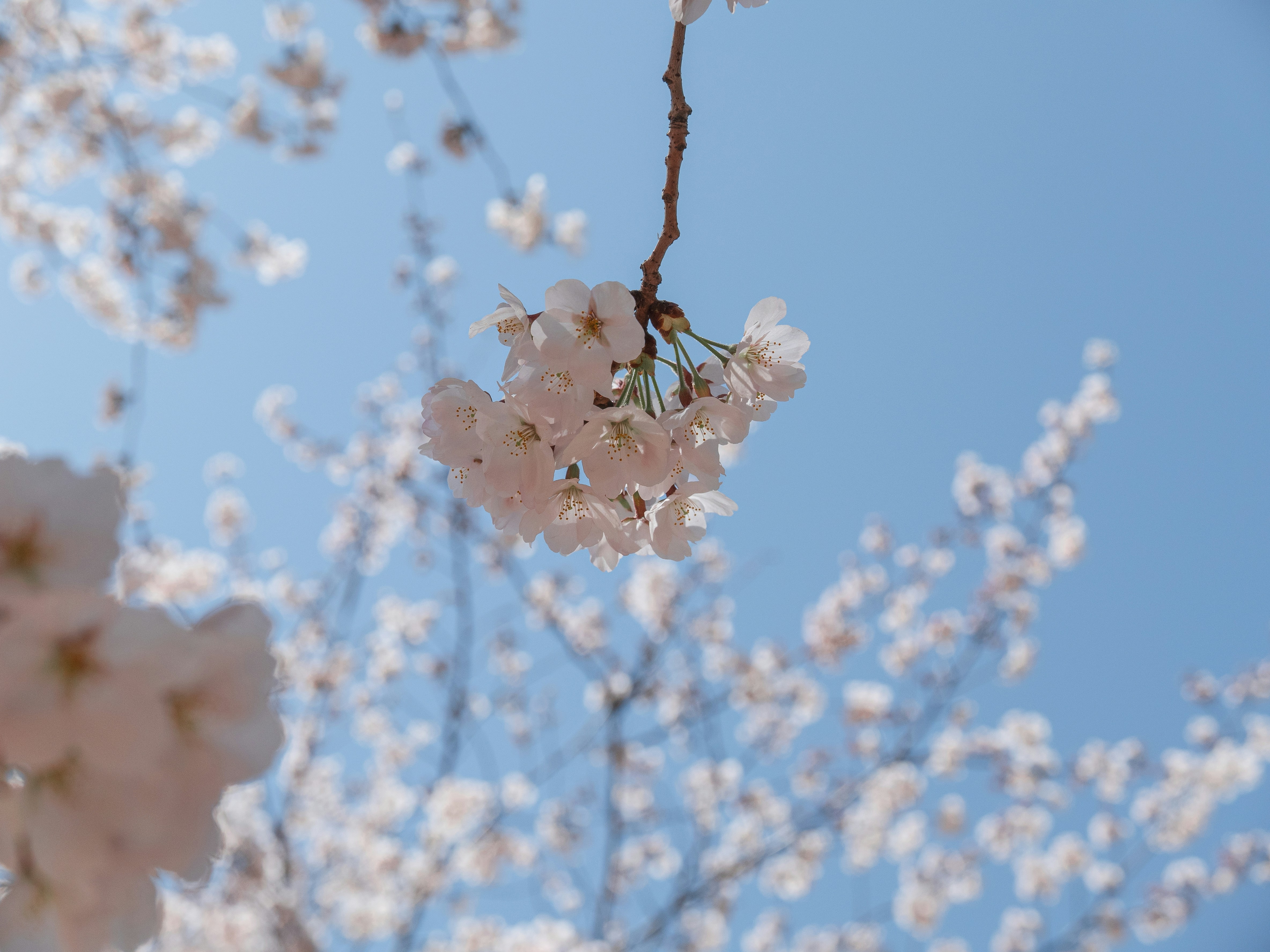 Photo by beyond_the_dream