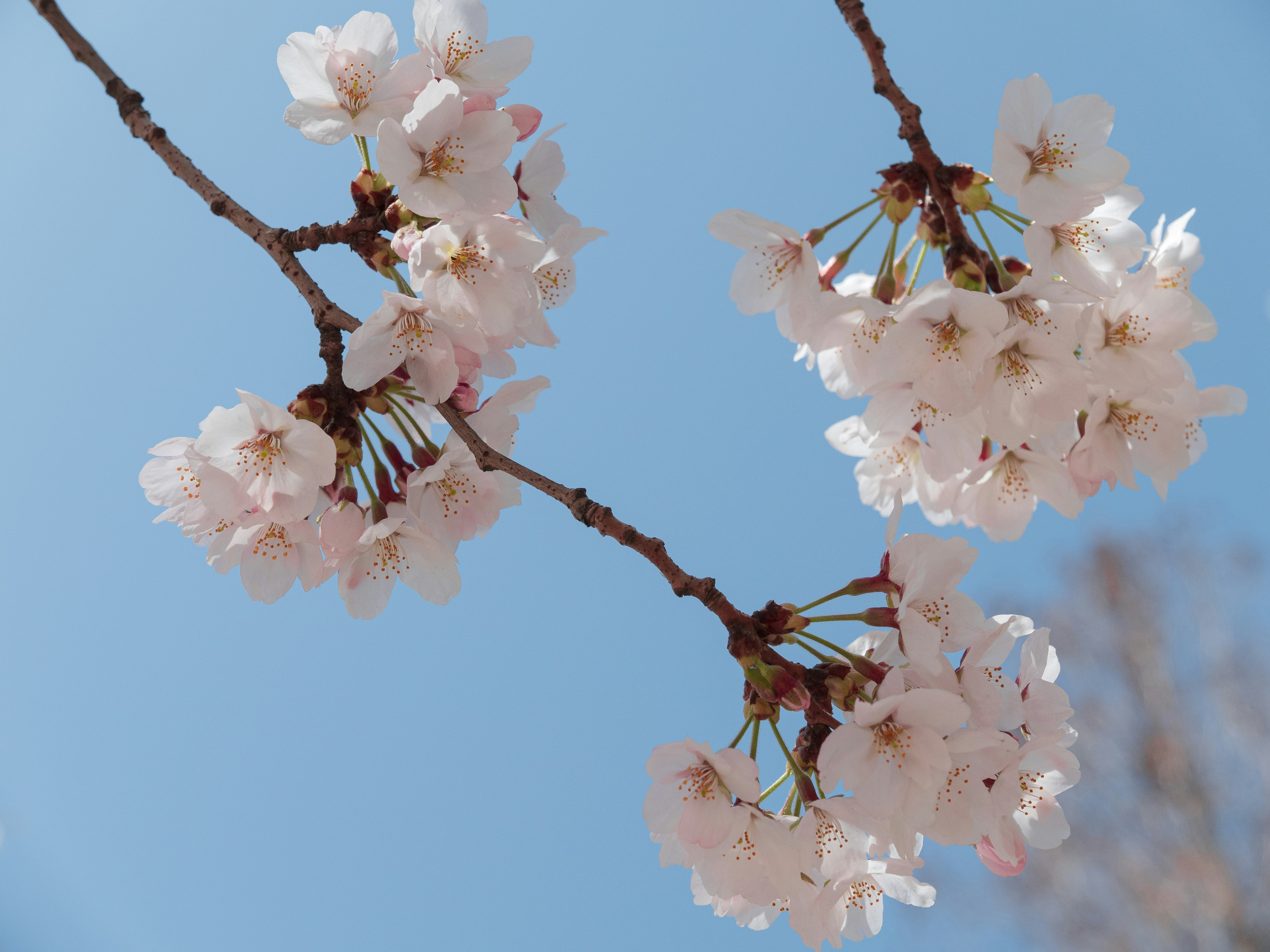 Photo by beyond_the_dream