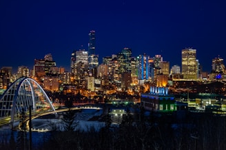 city skyline during night time