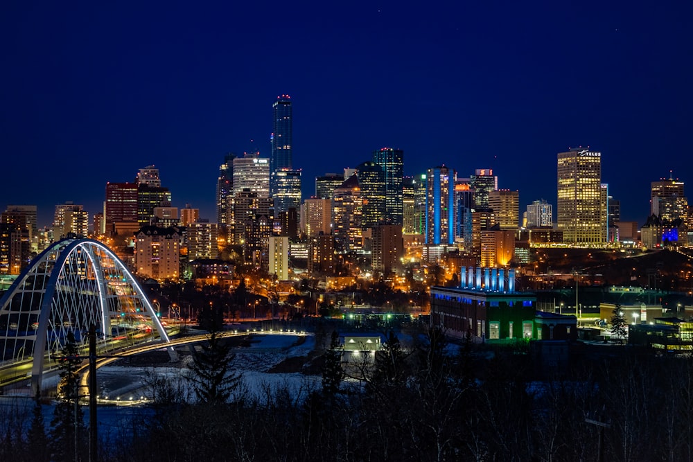 city skyline during night time