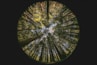 green and brown floral round decor