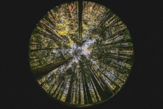 green and brown floral round decor
